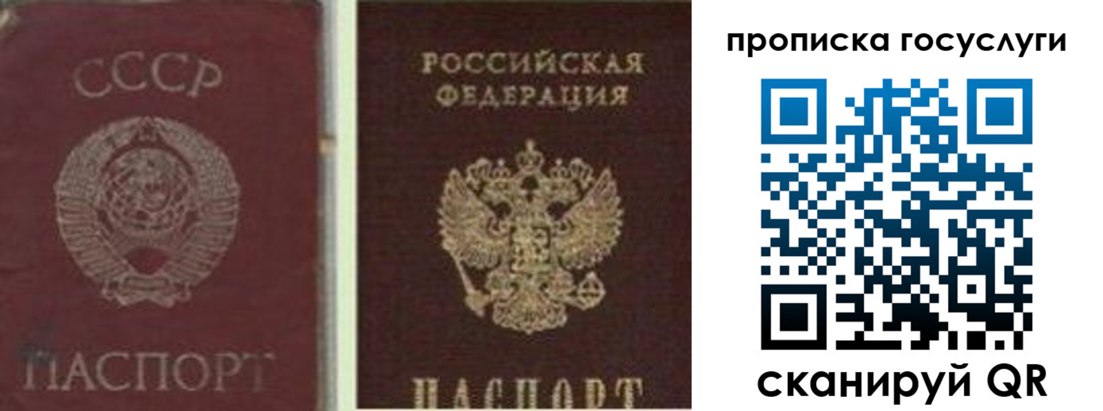 временная регистрация 2025 в Тогучине